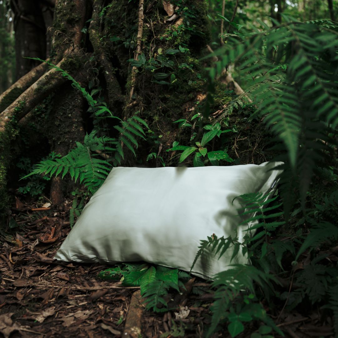 Sage green vegan silk pillowcase resting on the forest floor, surrounded by lush greenery and tree roots to highlight nature-inspired luxury