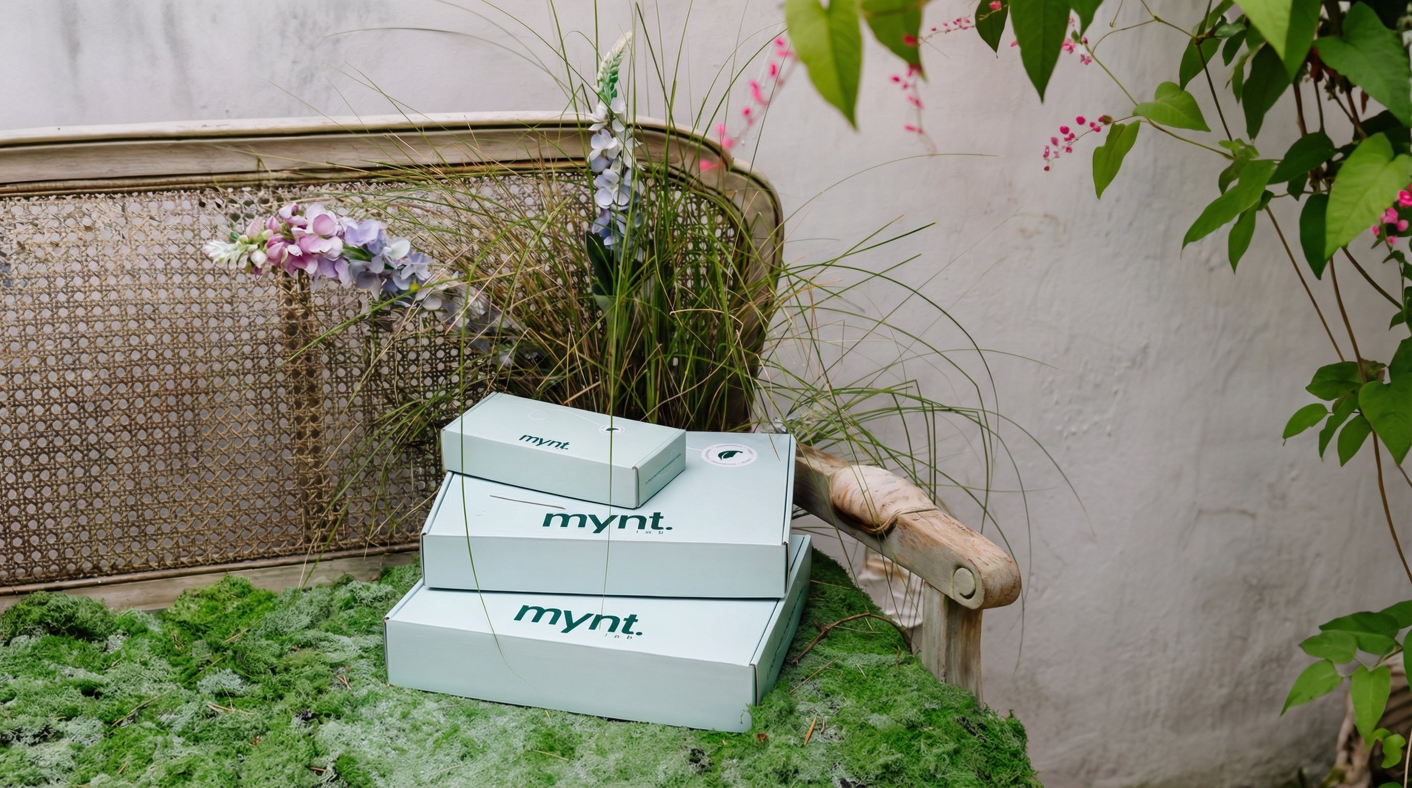 Three light blue rectangular boxes labeled mynt. are stacked on a white background. The smallest box is on top, and one box has a circular sticker with a bird logo.