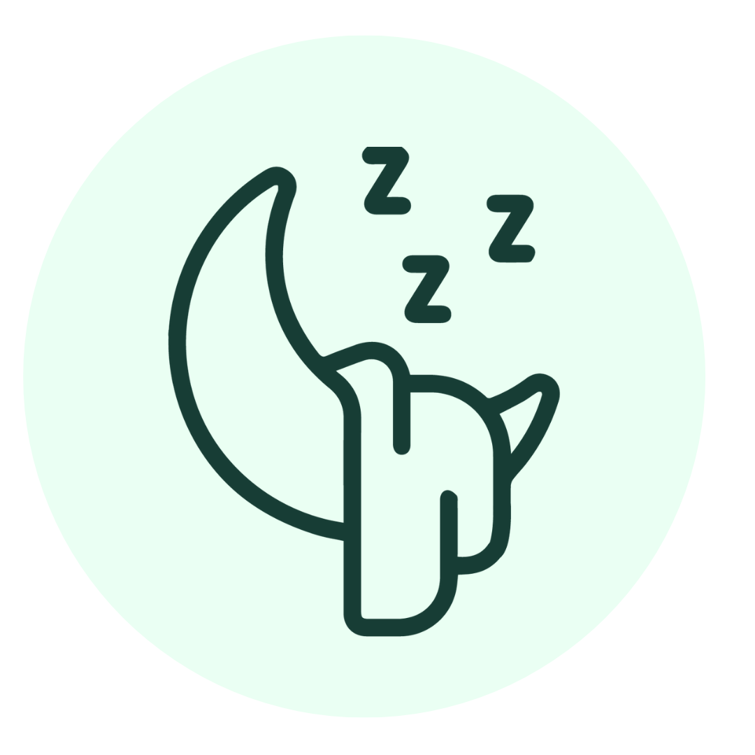 A simple line drawing of a crescent moon with a sleeping dog resting on it, and three Z symbols above the dog to indicate sleep, on a pale green circular background.