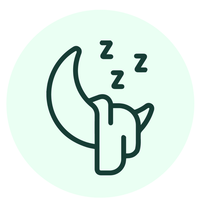 A simple line drawing of a crescent moon with and three Z symbols above to indicate sleep, on a pale green circular background.