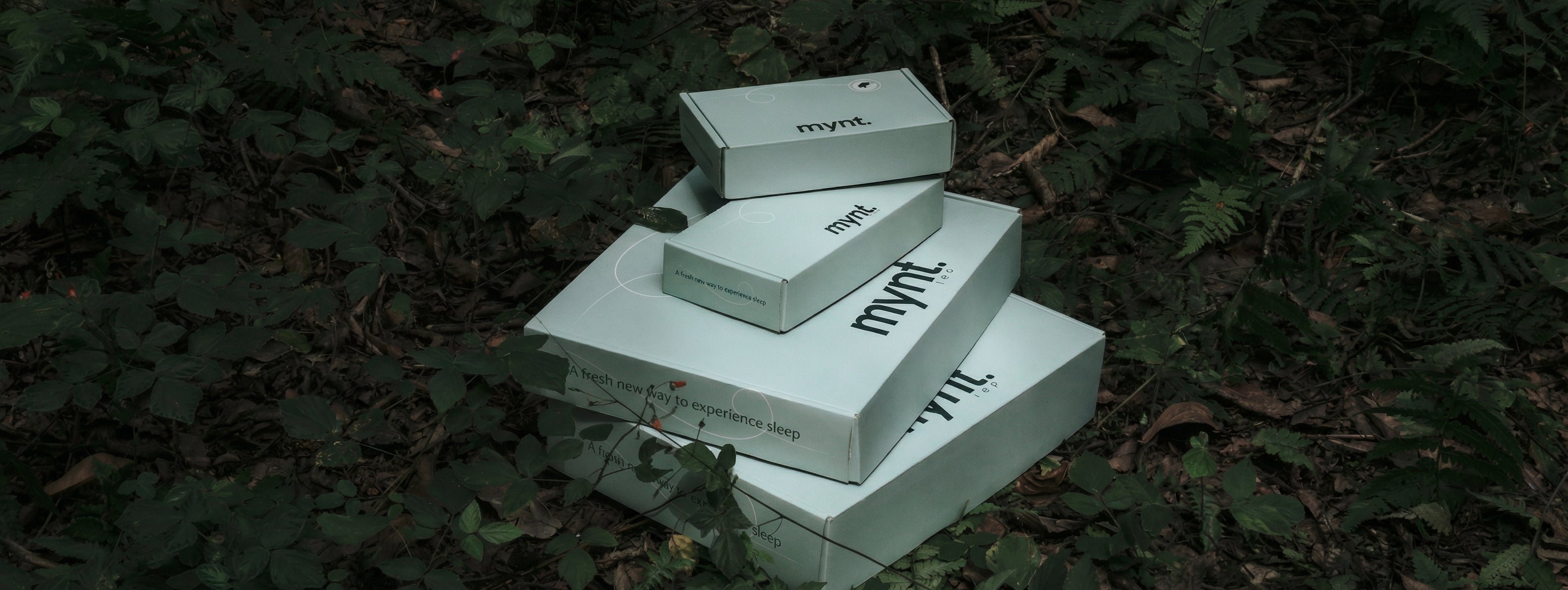 Four mint green boxes labeled mynt. are stacked on top of each other on the ground, surrounded by green foliage and leaves in a forested area.