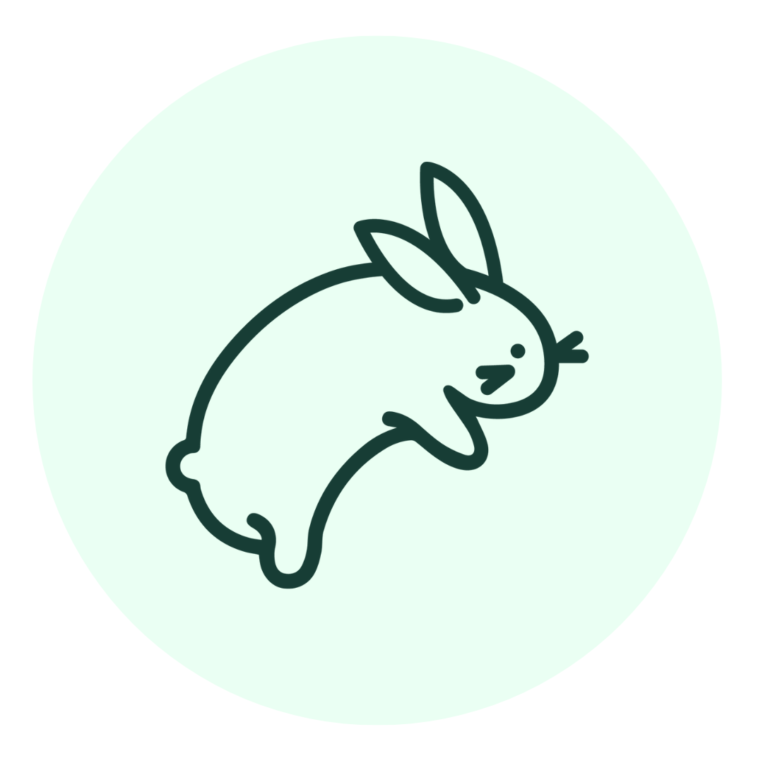Minimalist line drawing of a cute bunny in mid-jump, facing right, with a light green circular background.