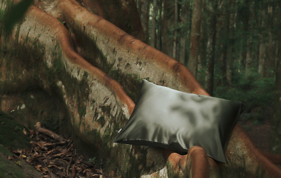 A smooth, shiny, dark-colored pillow rests on large, twisting tree roots in a lush green forest. The background is filled with tall trees and dense foliage, creating a tranquil, natural setting.