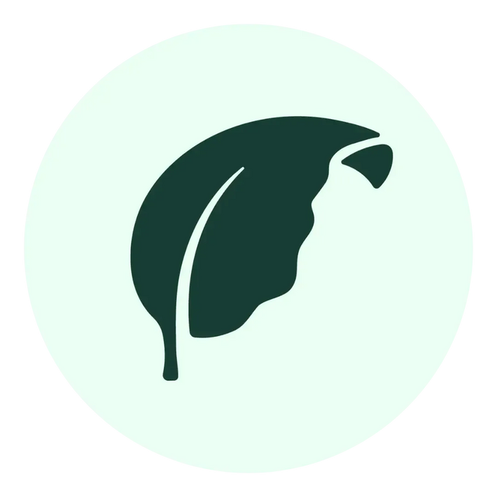Simple dark green leaf icon with a curved stem and a wavy edge, centered on a light green circular background.